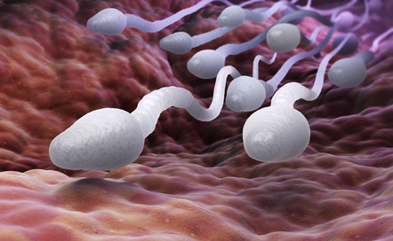 Collecting sperm from a dead person… an Ethical Dilemma?