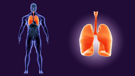 Difference between a Complete and a Partial  Autopsy